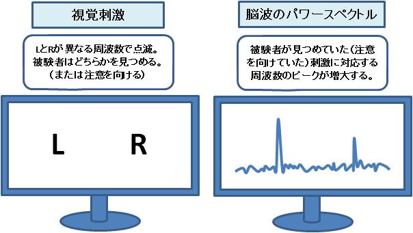 SSVEP^BCI